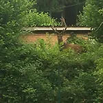 Du Champs Des Semeaux Chalet