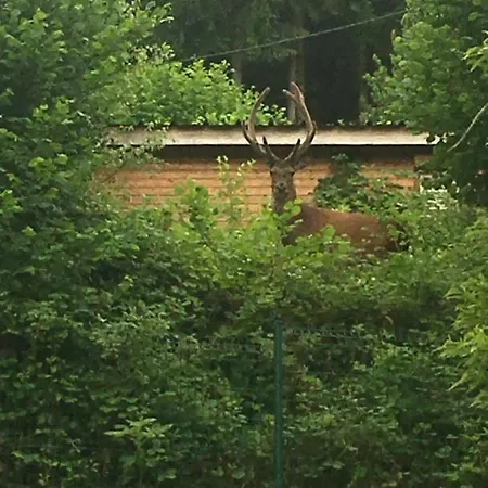 Du Champs Des Semeaux בקתה