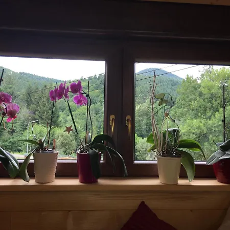 Du Champs Des Semeaux * Wisches