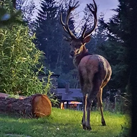 Du Champs Des Semeaux Chalet *
