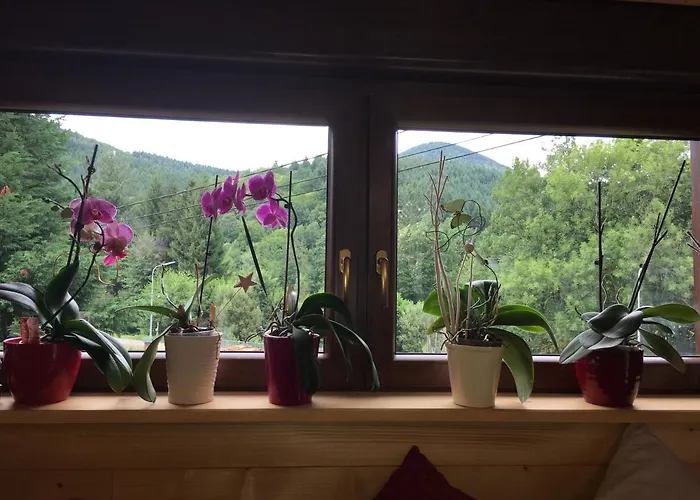 Du Champs Des Semeaux * Wisches