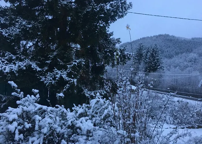 Chalet Du Champs Des Semeaux